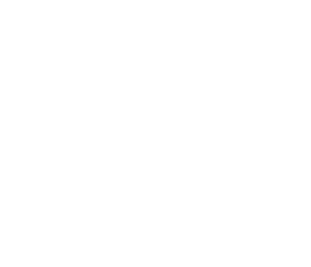 bg-logo-primary-white-web